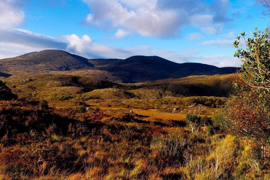 From Killarney: Ring of Kerry Full-Day Tour - Is $51 good value?