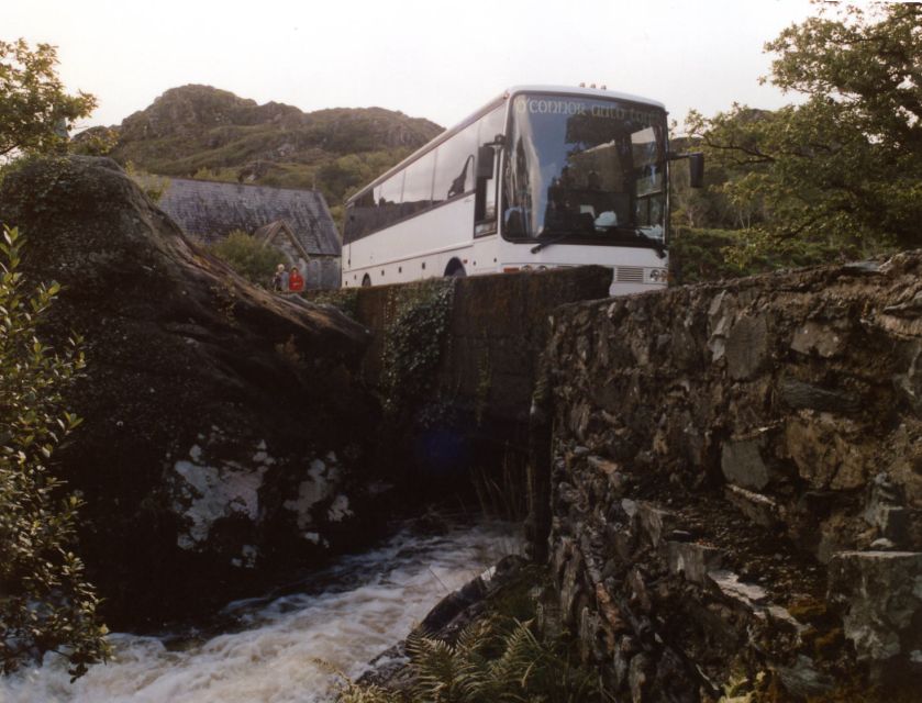 From Killarney: 'Ring of Kerry' Mountain Road 1-Day Bus Tour - Optional stops and extra local flavor