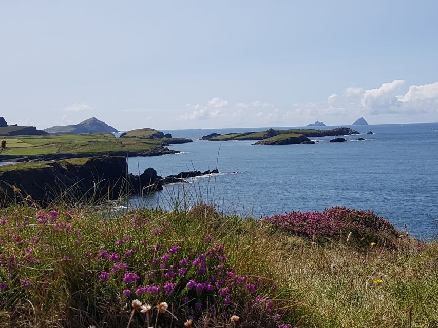 From Killarney: 'Ring of Kerry' Mountain Road 1-Day Bus Tour - The guides are part of the experience