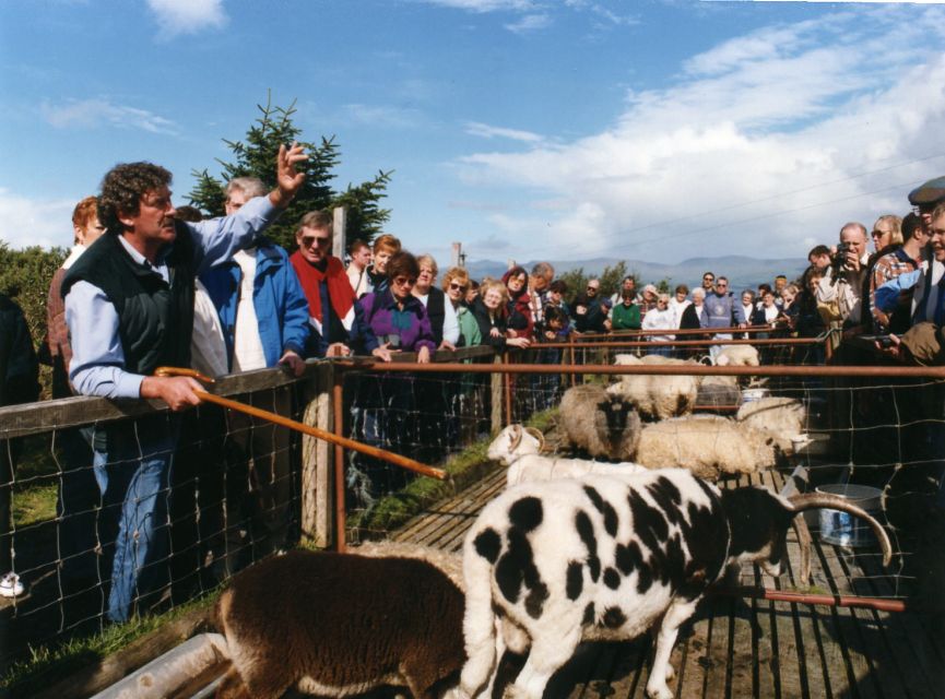 From Killarney: 'Ring of Kerry' Mountain Road 1-Day Bus Tour - Is $45 a fair price?