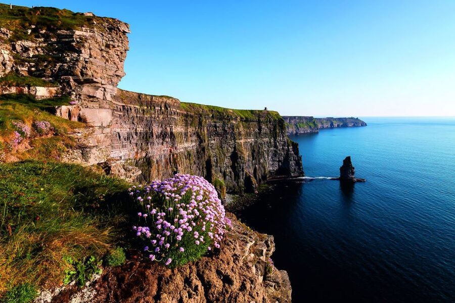 From Limerick: Full-Day Guided Tour of Cliffs of Moher - The Golden Vale ride home