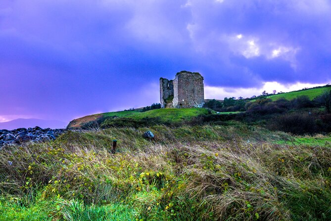 Full Day Private Cultural Tour in Dingle Peninsula - What the $660.77 group price really means
