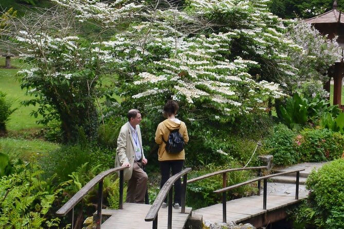 Full Day Private Wicklow Tour - Is $903.08 a fair price?