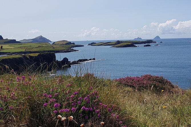 Full-Day Ring of Kerry Tour from Killarney - What this Ring of Kerry day actually feels like
