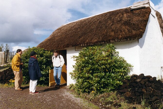 Full-Day Ring of Kerry Tour from Killarney - Ladies’ View: a quick stop with a big payoff