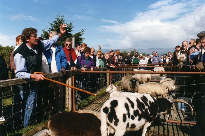 Full-Day Ring of Kerry Tour from Killarney - Sneem and the coastal villages