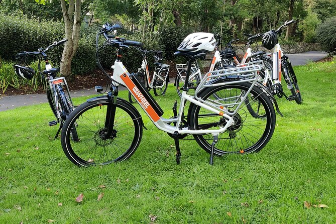 Galway by eBike: Must-Do Independent Half-Day Activity! - The university, river, and open space