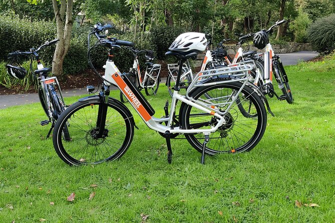 Galway City E-Bike Scavenger Hunt Game - A thoughtful stop at the Circle of Life Garden