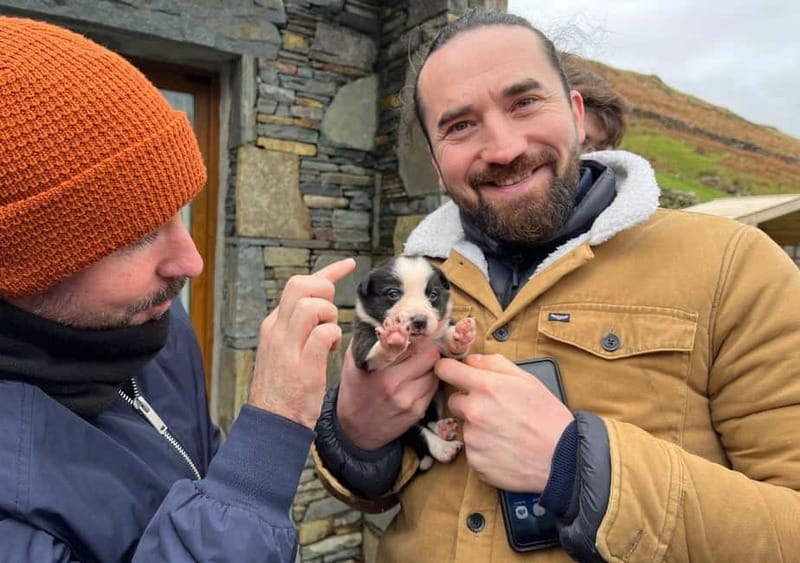 Galway: Connemara, Sheepdog Show and Medieval Castle Tour - Key points at a glance