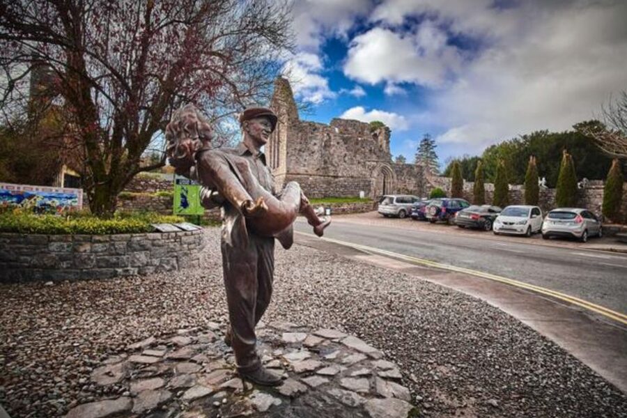 Galway: Connemara, Sheepdog Show and Medieval Castle Tour - Who should book this tour