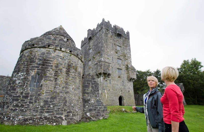 Galway: Connemara, Sheepdog Show and Medieval Castle Tour - Why this Connemara day trip works