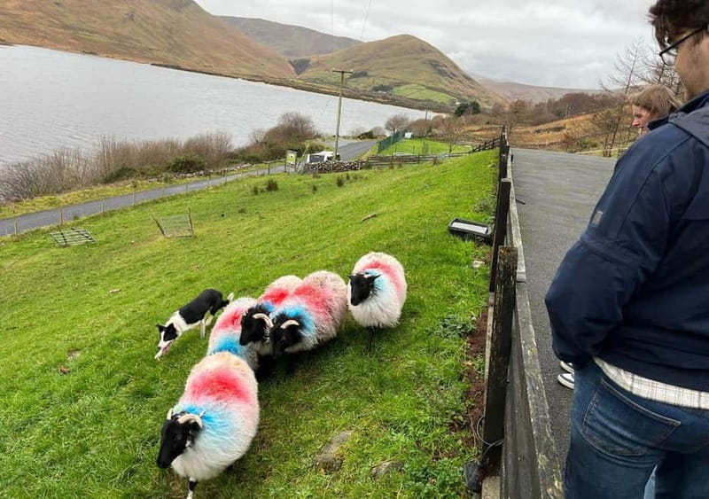 Galway: Connemara, Sheepdog Show and Medieval Castle Tour - Aughnanure Castle and the O’Flaherty stronghold