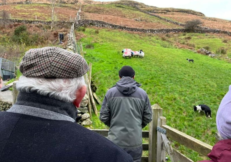 Galway: Connemara, Sheepdog Show and Medieval Castle Tour - Leenane, a practical village break