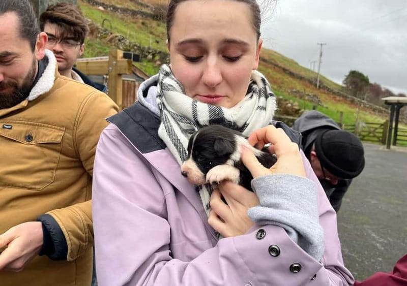 Galway: Connemara, Sheepdog Show and Medieval Castle Tour - Value, food, weather, and practical planning