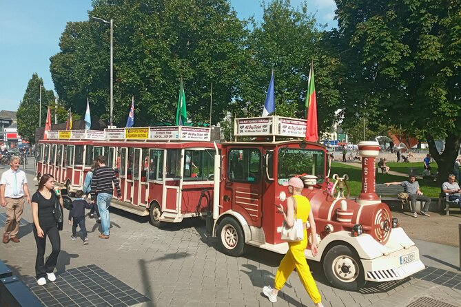 Galway History Walking tour with Local expert - Private Group - Eyre Square and Galway’s Tribes