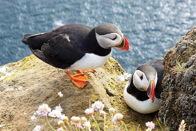 Galway to Cliffs of Moher, Aillwee Cave & Dunguaire Castle Tour - The Cliffs of Moher, the day’s main event