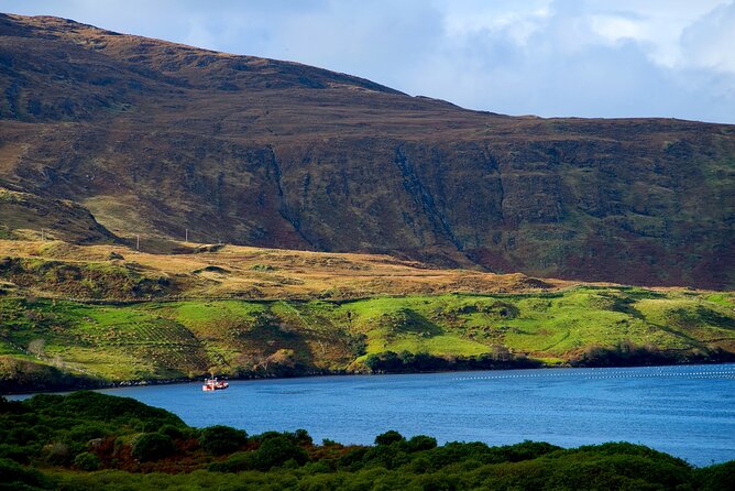 Galway to Connemara National Park Day Tour - Two hours at Connemara National Park