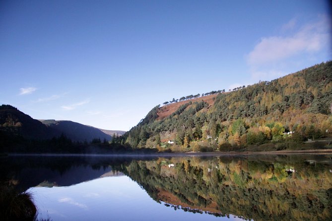 Glendalough and Dublin City Excursion - Ship to shore - Is $96.12 a fair price?