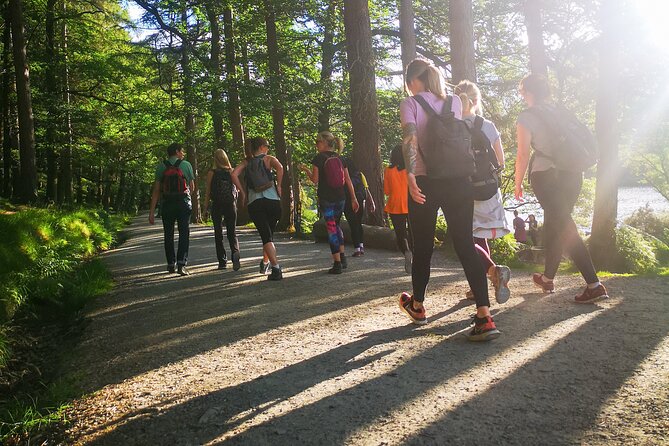 Glendalough Night Hike and History Tour - Watching for Sika deer at dusk