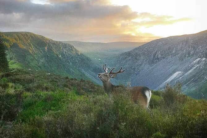 Glendalough Night Hike and History Tour - Starting at Brockagh in County Wicklow