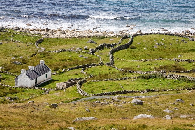 Glenveagh National Park and Gaeltacht Tour - Glenveagh Castle and the red deer country