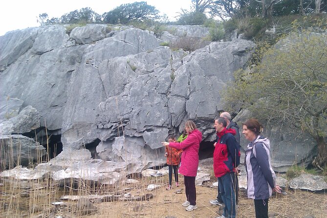 Guided Killarney National Park Walking Tour - Starting opposite St. Mary’s Cathedral at 11am