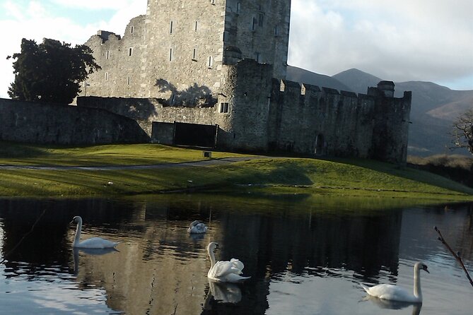 Guided Killarney National Park Walking Tour - St. Mary’s Cathedral and the story of Killarney