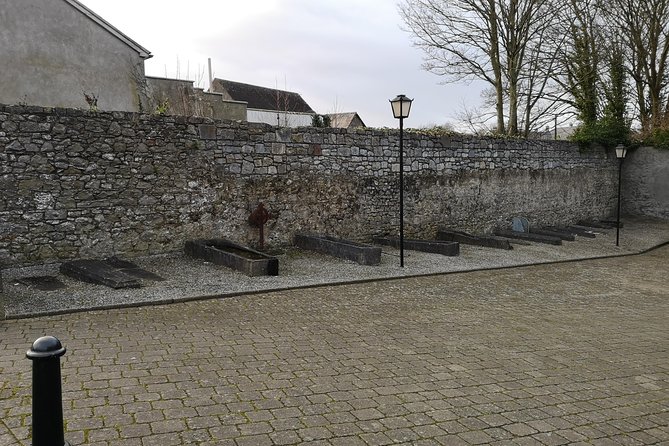 Guided tour of Kilkenny in French with an Irish guide - Finishing at Kilkenny Castle and the Butler family