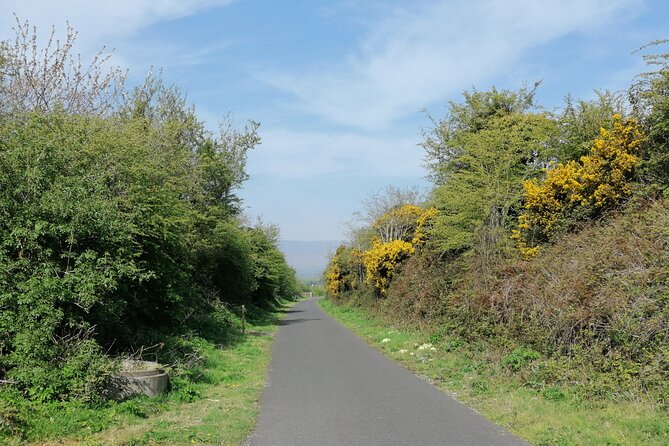 Guided Walking Tour in stunning county Waterford Ireland - The paupers’ gravesite and a difficult story