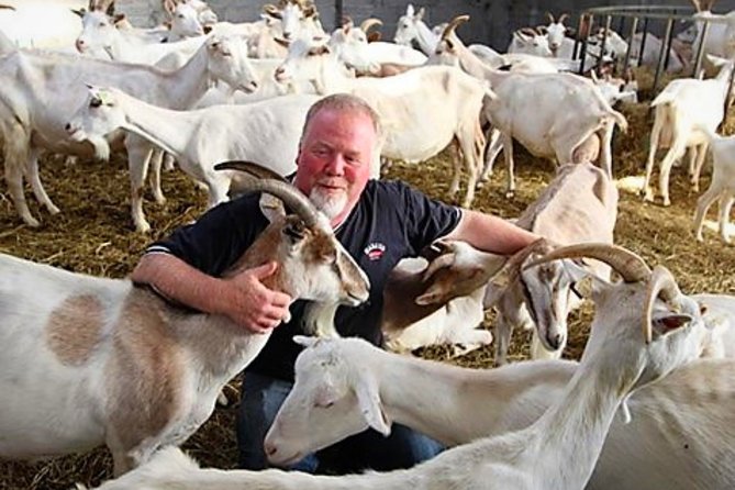 History & cultural tour of Inishmore, Aran Islands. Galway. Private. 2 ½ hours - Meeting the goats and tasting island cheese