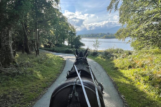 Horse-Drawn Carriage Tours in Killarney - Key details before you book