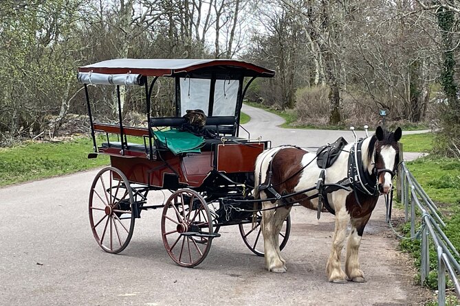 Horse-Drawn Carriage Tours in Killarney - Ross Castle: the ride’s most useful stop