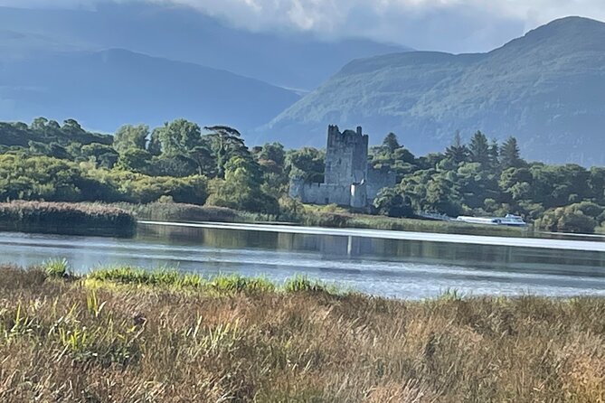 Horse-Drawn Carriage Tours in Killarney - Why the private format changes the outing