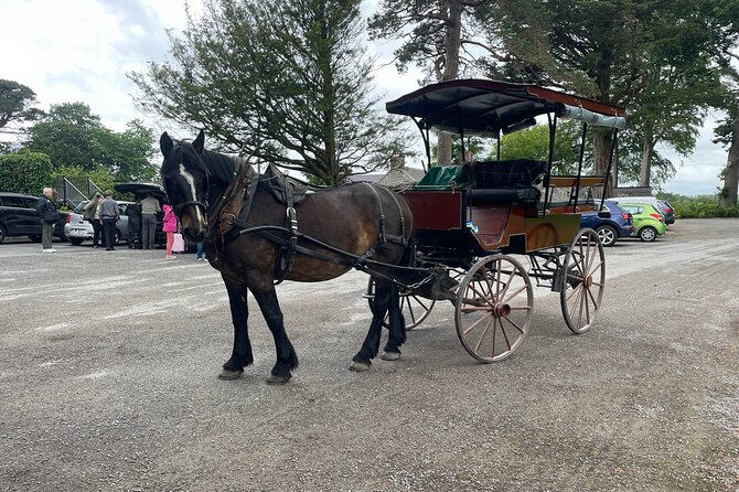 Horse-Drawn Carriage Tours in Killarney - The horse and driver are part of the story