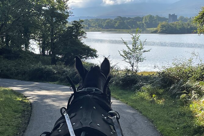 Horse-Drawn Carriage Tours in Killarney - Practical details that affect your decision