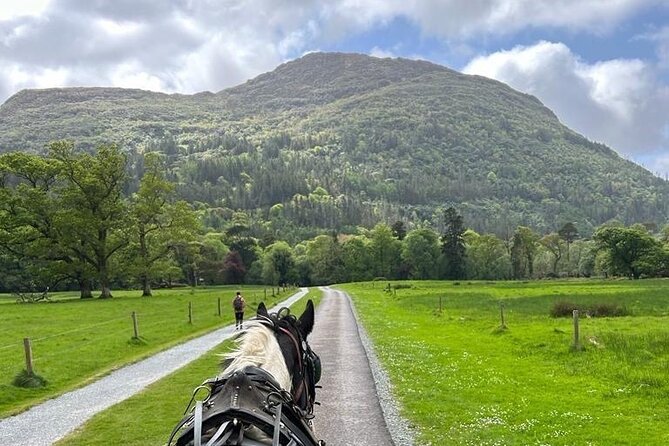 Horse-Drawn Carriage Tours in Killarney - The Lakes of Killarney and Inisfallen ruins
