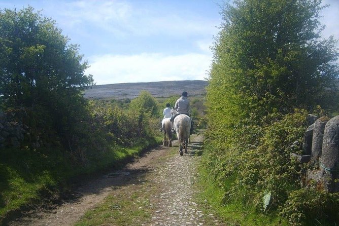 Horse riding - Burren Trail. Lisdoonvarna, Co Clare. Guided. 3 hours. - Riding into the Burren from Mountain View