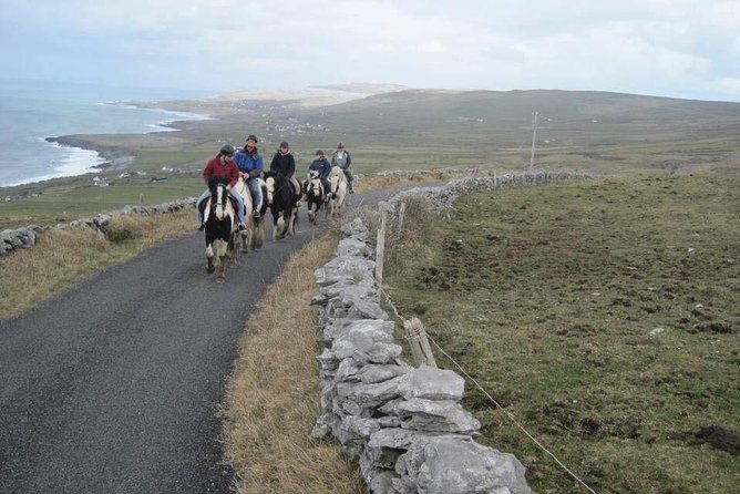 Horse riding - Burren Trail. Lisdoonvarna, Co Clare. Guided. 3 hours. - Who will enjoy this Burren ride most
