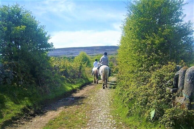 Horse riding - Dirt Trek Trail. Lisdoonvarna, Clare. Guided. 1 hour. - Why Beginners and Families Fit This Ride Well