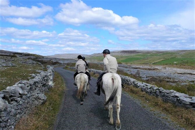 Horse riding - Dirt Trek Trail. Lisdoonvarna, Clare. Guided. 1 hour. - Planning the Afternoon Near Lisdoonvarna