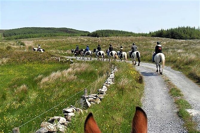 Horse riding - Dirt Trek Trail. Lisdoonvarna, Clare. Guided. 1 hour. - Who Should Book the Dirt Trek Trail?