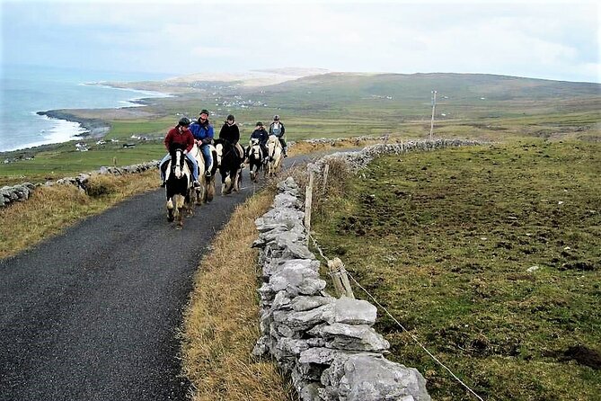 Horse riding - Dirt Trek Trail. Lisdoonvarna, Clare. Guided. 1 hour. - The Big Views: Moher, the Aran Islands, and Connemara