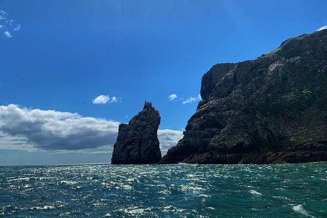 Howth Cliffs and Ireland's Eye Ferry Boat Tour - Commentary varies from trip to trip