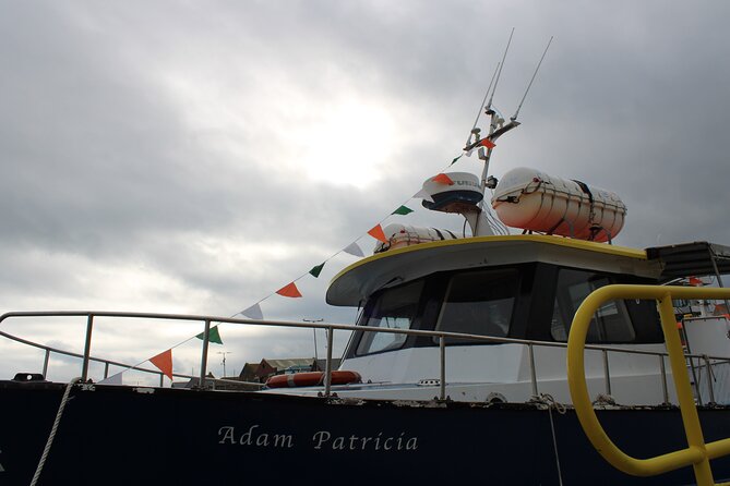 Howth Cliffs and Ireland's Eye Ferry Boat Tour - Who will enjoy this boat trip most?