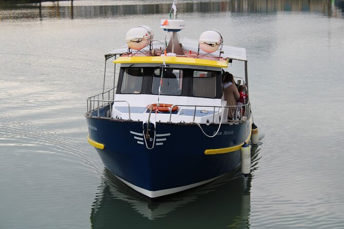 Howth Cliffs and Ireland's Eye Ferry Boat Tour - Cruising beneath the Cliffs of Howth