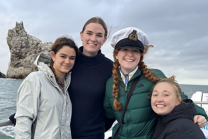 Howth Coastal Boat Tour (Ireland's Eye Ferries 50 mins trip) - Seals, puffins, and the changing birdlife