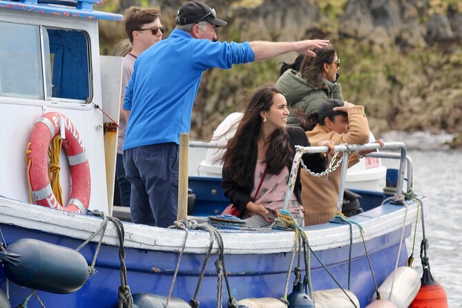 Howth Coastal Boat Tour (Ireland's Eye Ferries 50 mins trip) - What happens during the roughly one-hour route