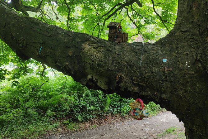 Howth Hiking Trail from Dublin: Mythology and Legend - Why this Howth walk feels different