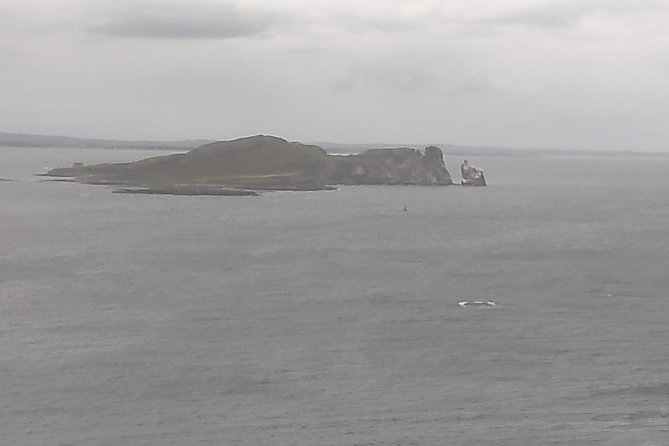 Howth Hiking Trail from Dublin: Mythology and Legend - Forest paths and a picnic near the fairy houses