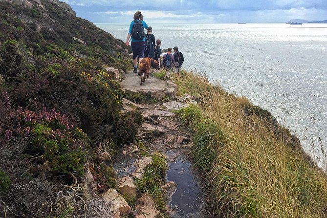 Howth Safari Hiking Tour - Doldrum Beach offers a quieter coastal pause